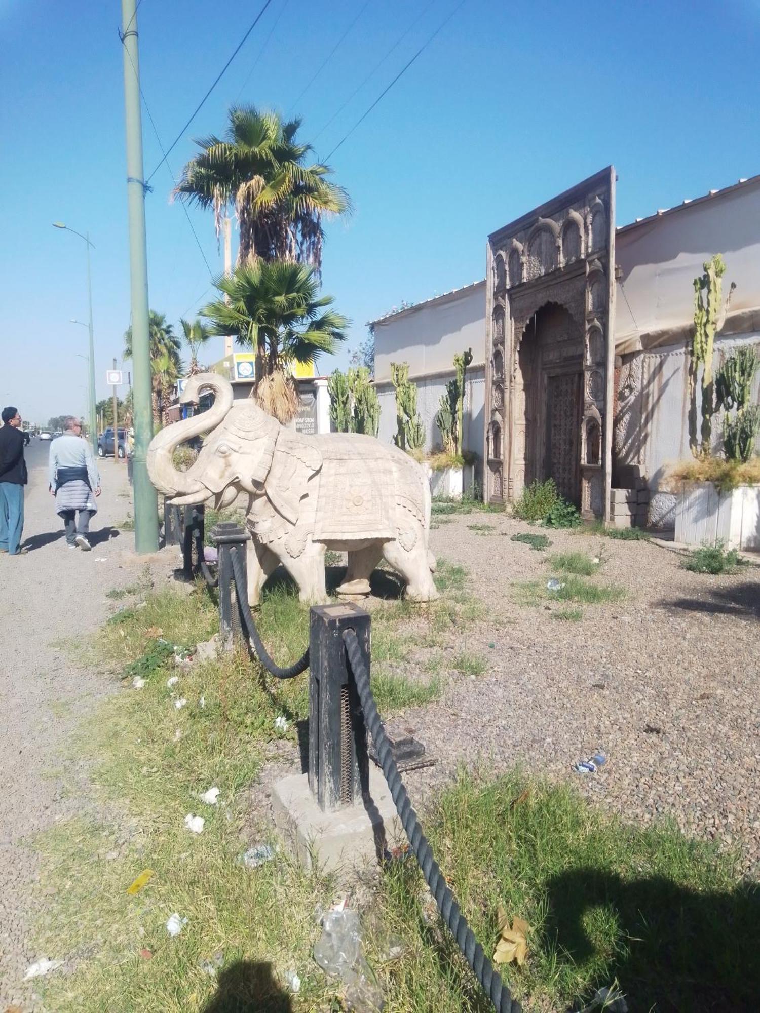 Riad Bouganville Bleu Marrákes Kültér fotó